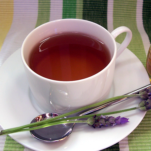 Rooibos Nedir?