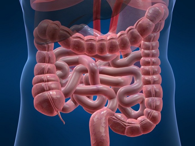 İpucu 1: Proteinlerin işlevleri nelerdir?