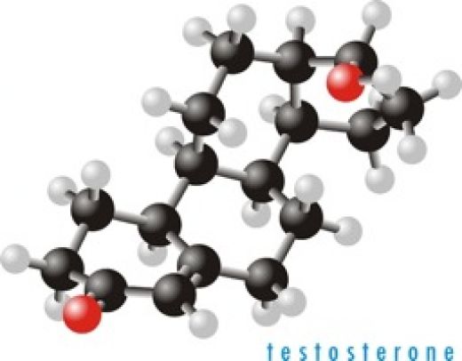 Testosteron molekülleri